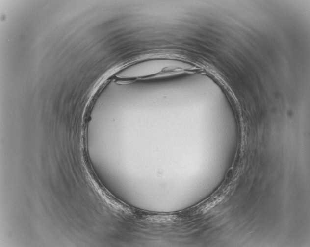 X0000053090853200508081309