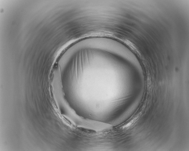 X0000053090854200508081309