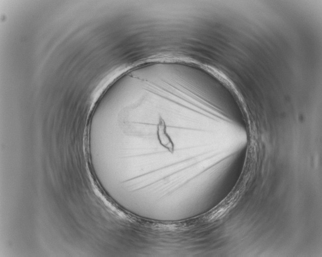 X0000053090855200508081309