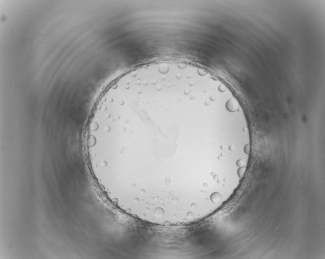 X0000053090856200508081309