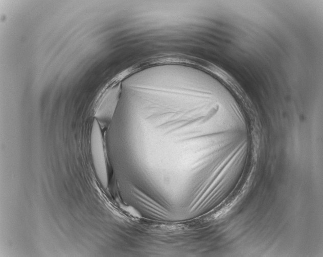 X0000053090857200508081309