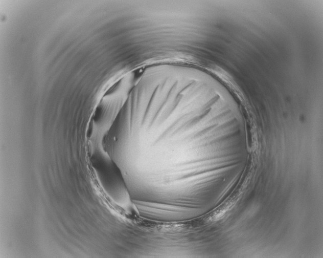 X0000053090858200508081309