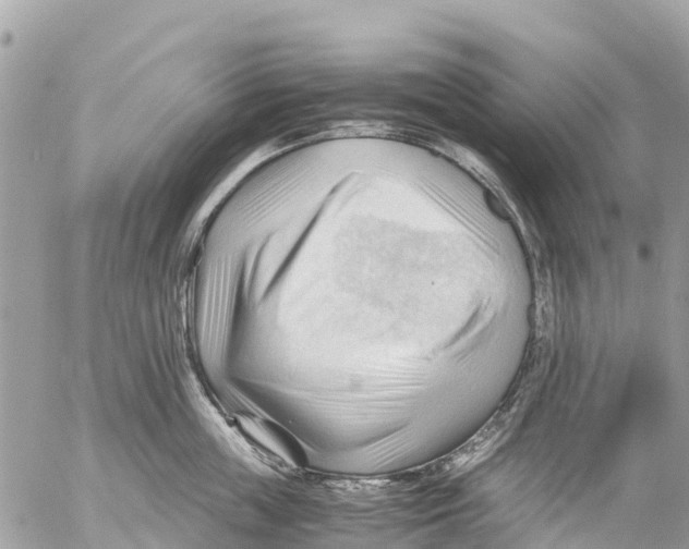 X0000053090859200508081309