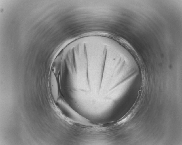 X0000053090860200508081309