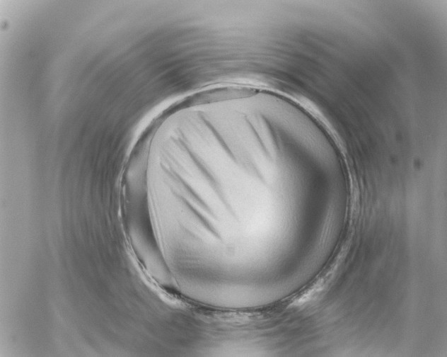 X0000053090862200508081309