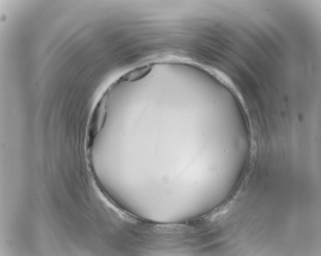 X0000053090863200508081309