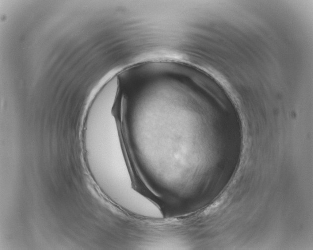 X0000053090864200508081309