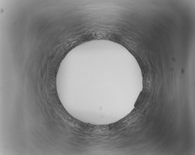 X0000053090865200508081308