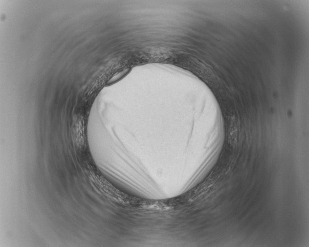 X0000053090866200508081308