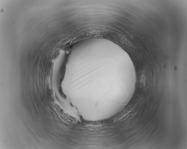 X0000053090868200508081308