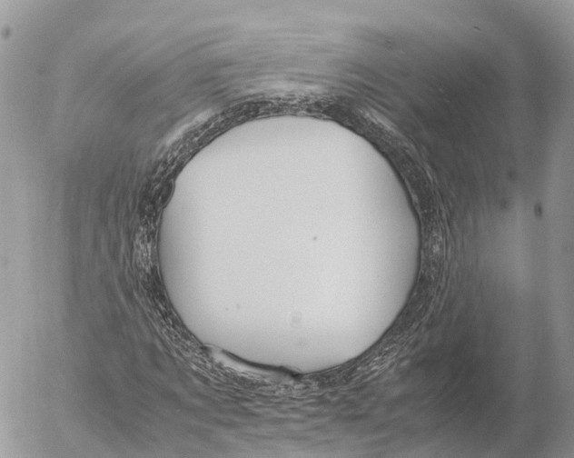 X0000053090869200508081308