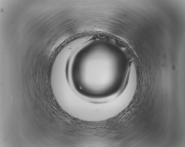 X0000053090871200508081308