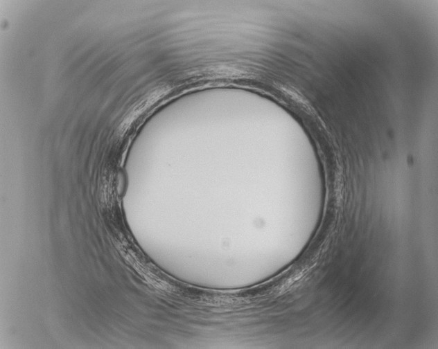 X0000053090873200508081308