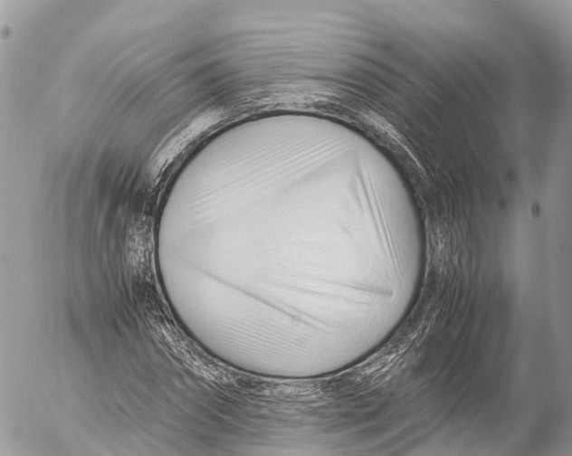 X0000053090874200508081308