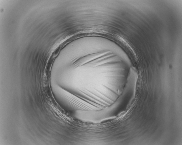 X0000053090876200508081308