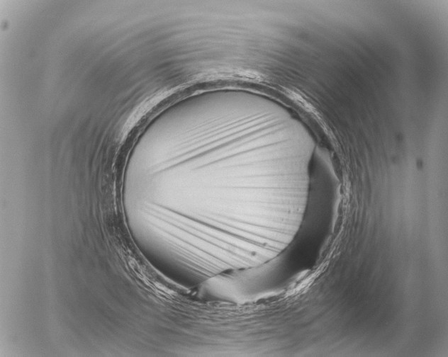 X0000053090877200508081308