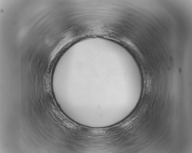 X0000053090878200508081308