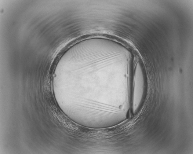 X0000053090879200508081308