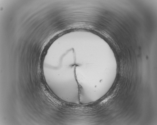 X0000053090880200508081308