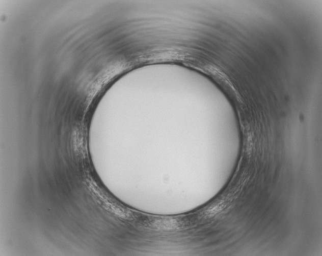 X0000053090882200508081308