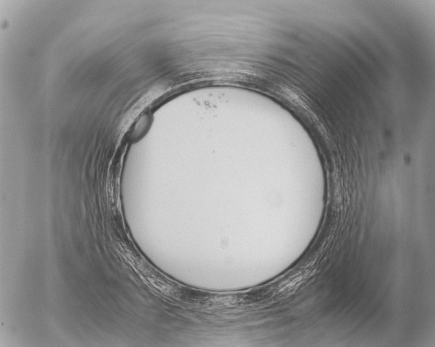 X0000053090883200508081308