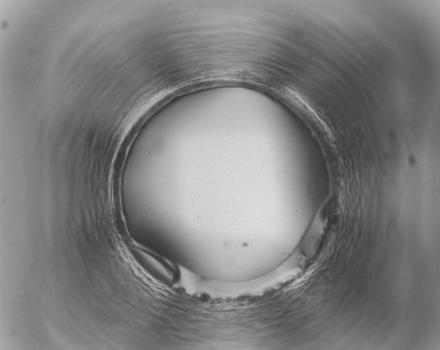 X0000053090884200508081308