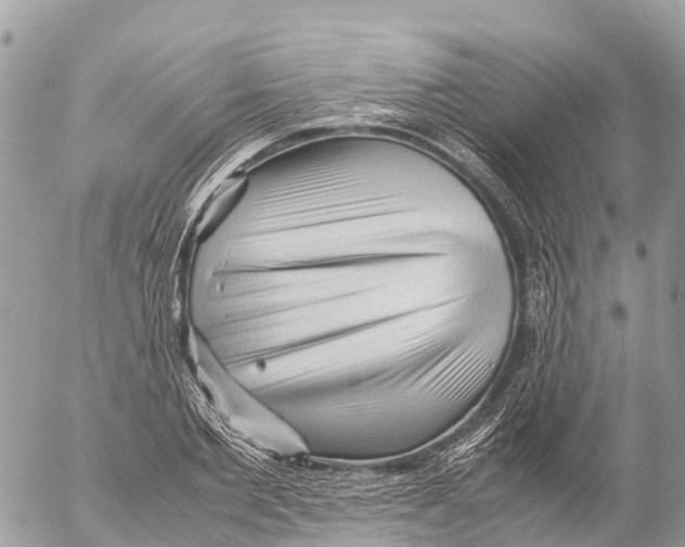 X0000053090885200508081308