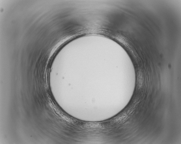 X0000053090886200508081308