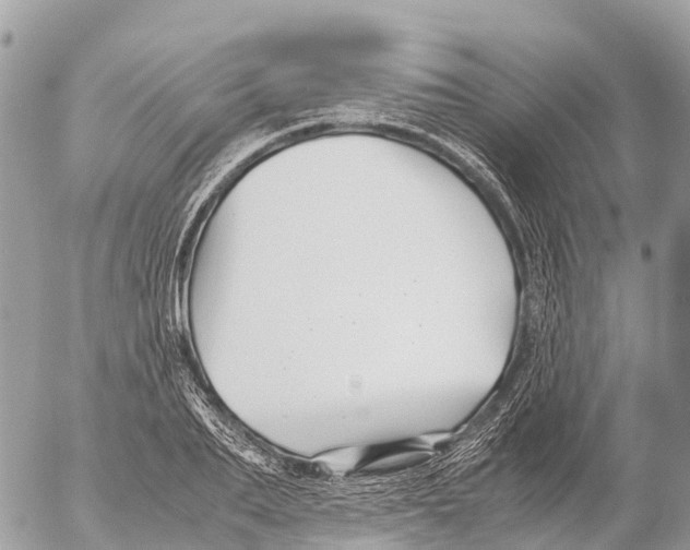 X0000053090887200508081308