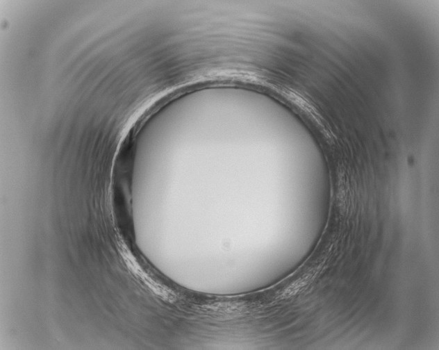 X0000053090888200508081308