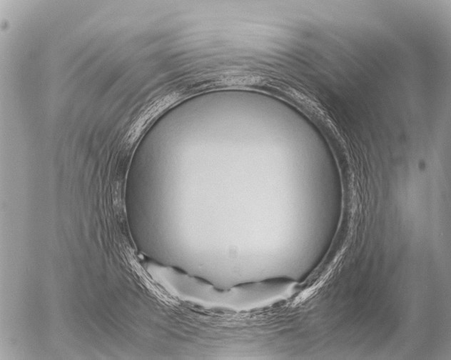 X0000053090889200508081308