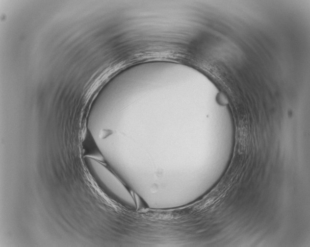 X0000053090890200508081308