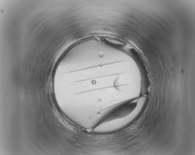 X0000053090891200508081308