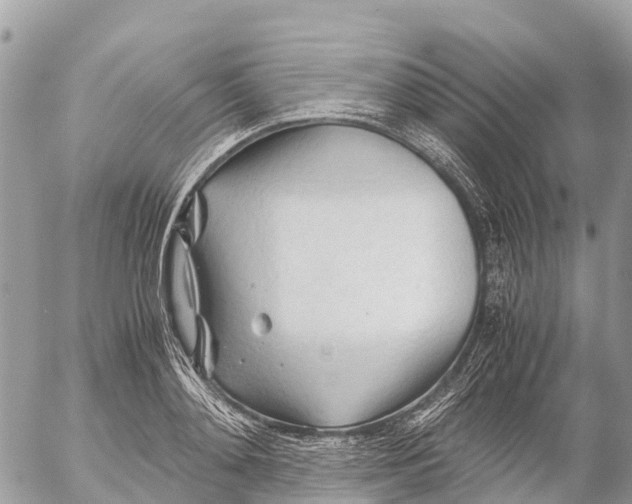 X0000053090892200508081308