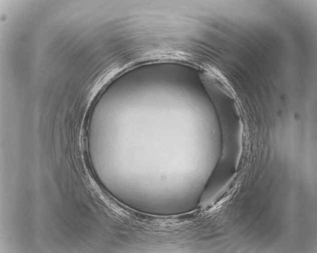 X0000053090893200508081308