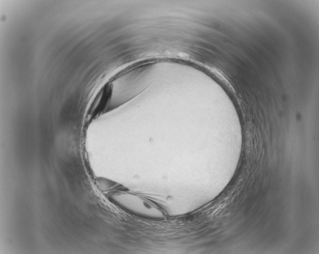 X0000053090895200508081308