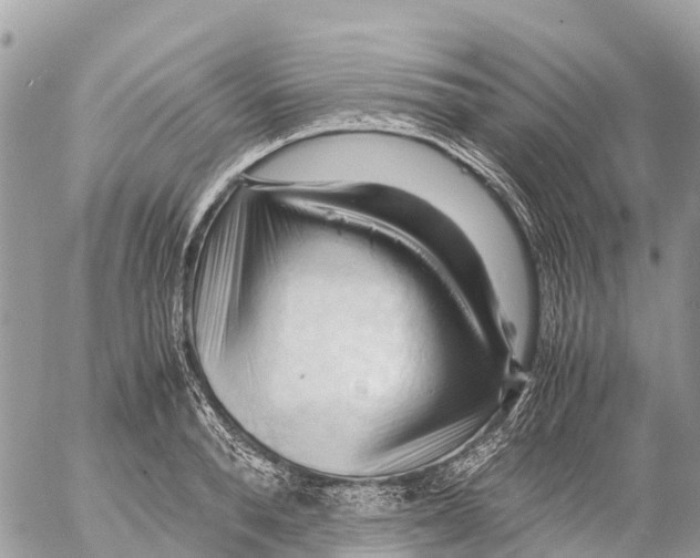 X0000053090896200508081308