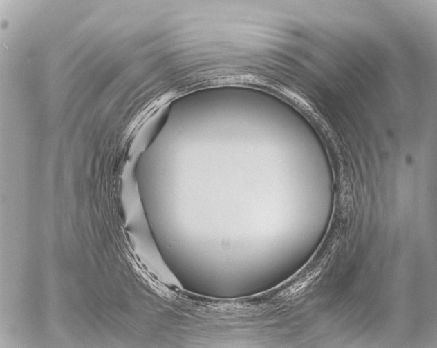 X0000053090897200508081308