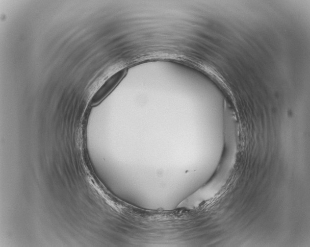 X0000053090898200508081308