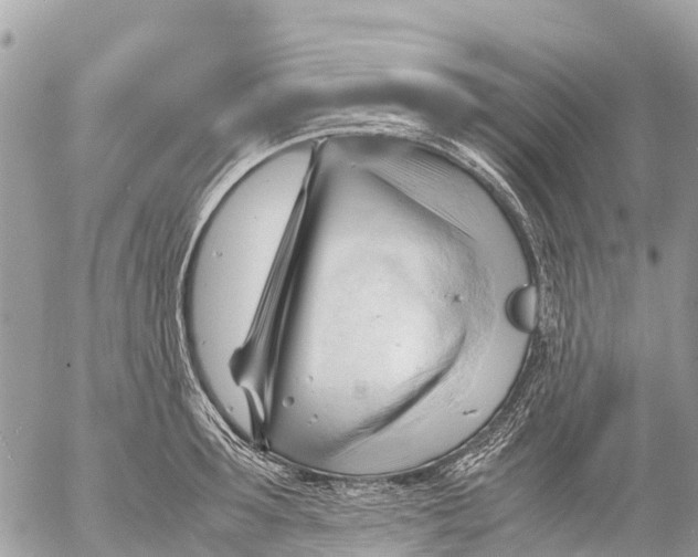 X0000053090899200508081308