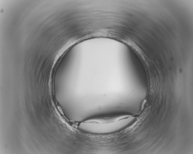 X0000053090902200508081308