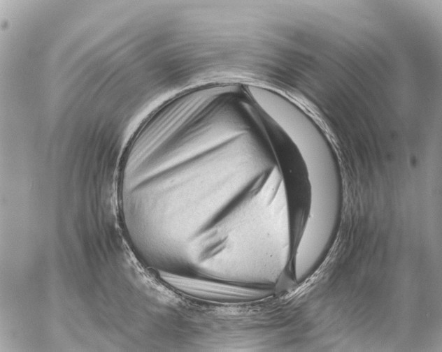 X0000053090904200508081308