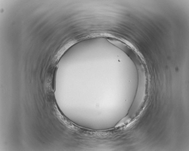 X0000053090905200508081308