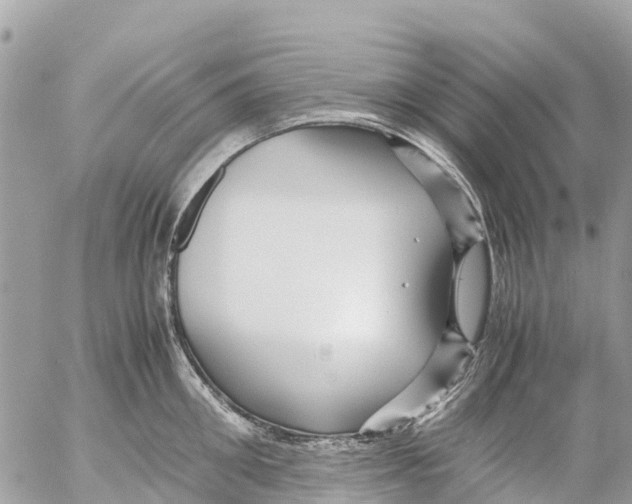 X0000053090906200508081308