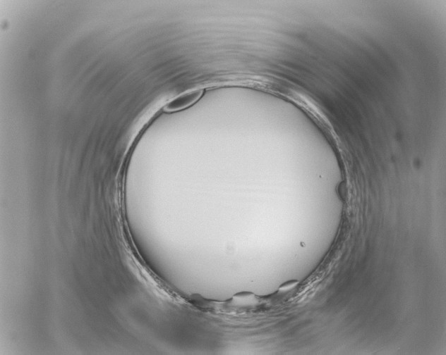 X0000053090907200508081307