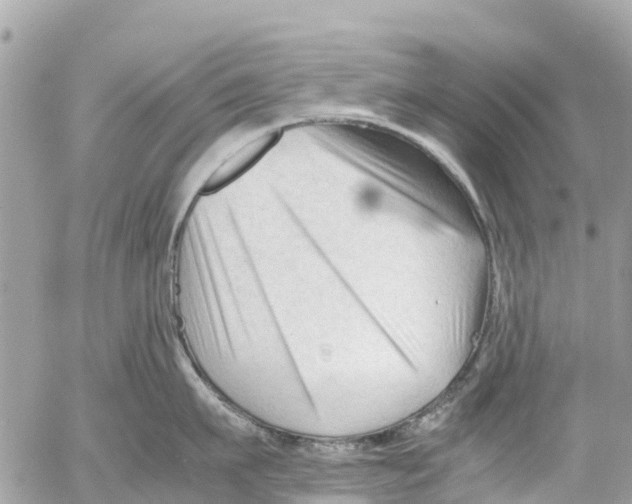 X0000053090911200508081307