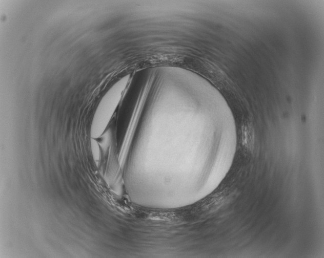 X0000053090915200508081307