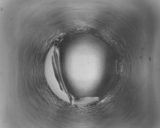 X0000053090916200508081307