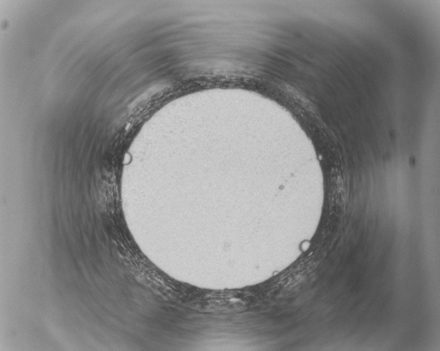 X0000053090918200508081307