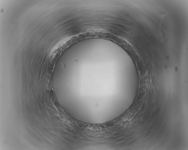 X0000053090919200508081307